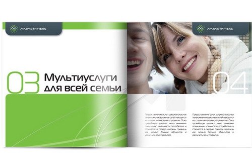 «Мультирегион» (бренд «Мультинекс») был основан в 2004 году в Новосибирске.