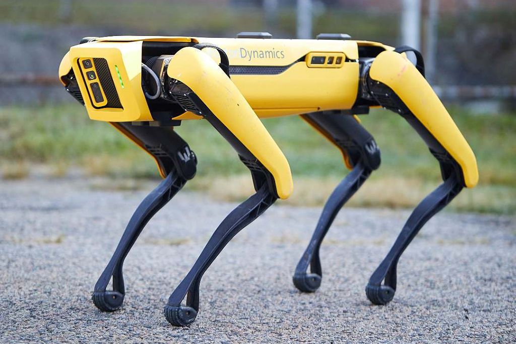 Просто для опытов: «Сбербанк» купил американского робота-собаку от Boston Dynamics за 5,5 млн рублей.