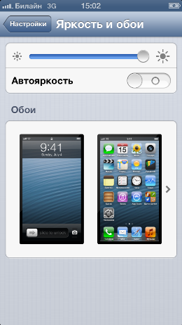 Пользовательский интерфейс iPhone 5.