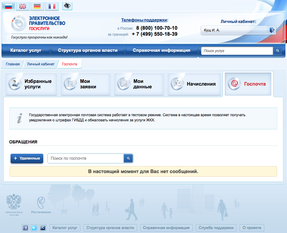 Посмотрим в электронном виде. Госпочта госуслуги. Email на госуслугах. Электронная почта для госуслуг. Госуслуги Скриншот.