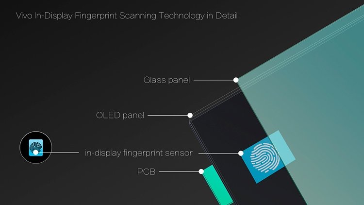 Смартфон с экранным сканером отпечатков пальцев.