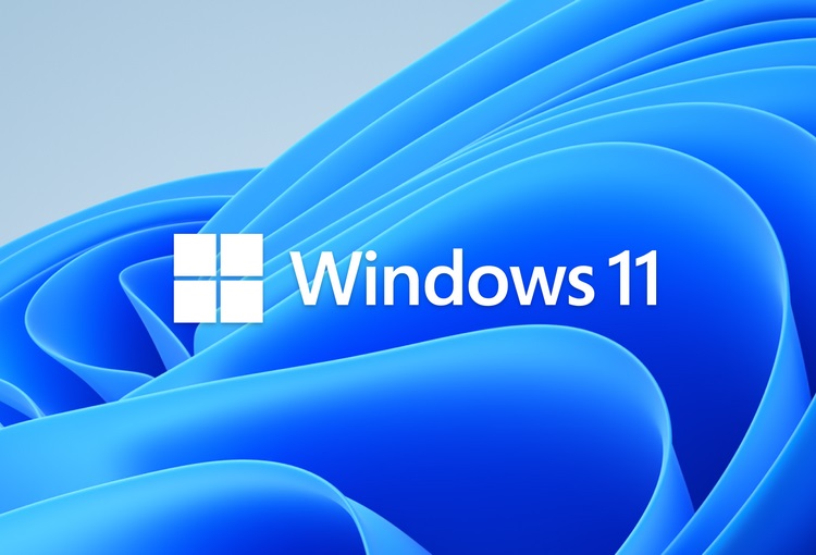 Операционная система Windows 11.