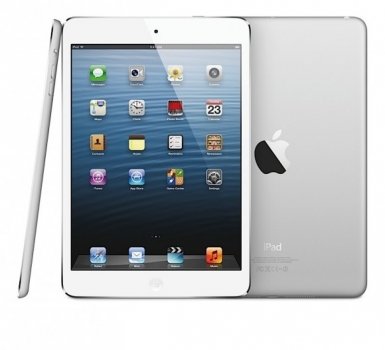 Apple iPad mini.