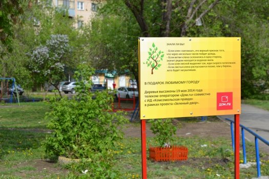 «Дом.ru» занялся озеленением Челябинска.