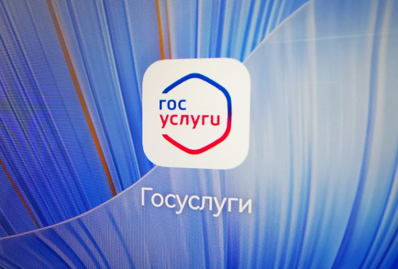 Госуслуги онлайн. Госуслуги онлайн.
