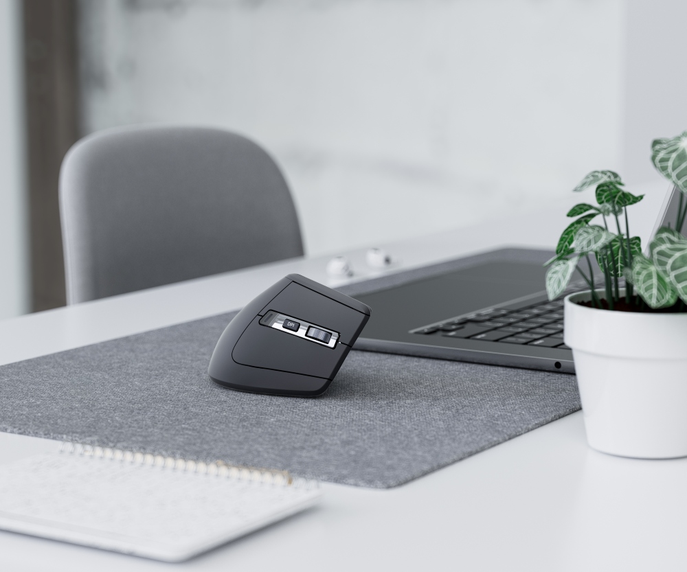 Бренд Rapoo выпустил в России новые клавиатуры и мыши: фишки и цены.