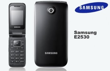 Samsung E2530.