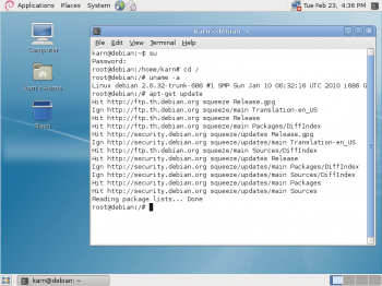 Debian 6.0 Squeeze.